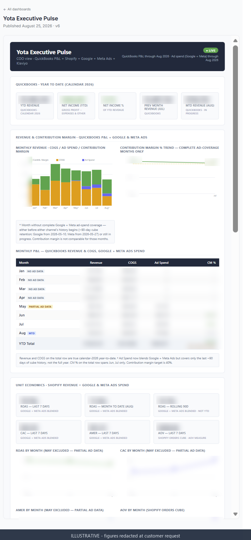 Redacted view of the executive dashboard: year-to-date tiles, monthly revenue against cost of goods and ad spend, a monthly profit-and-loss table, and unit economics. All figures are blurred; the month rows carry NO AD DATA and PARTIAL AD DATA labels.